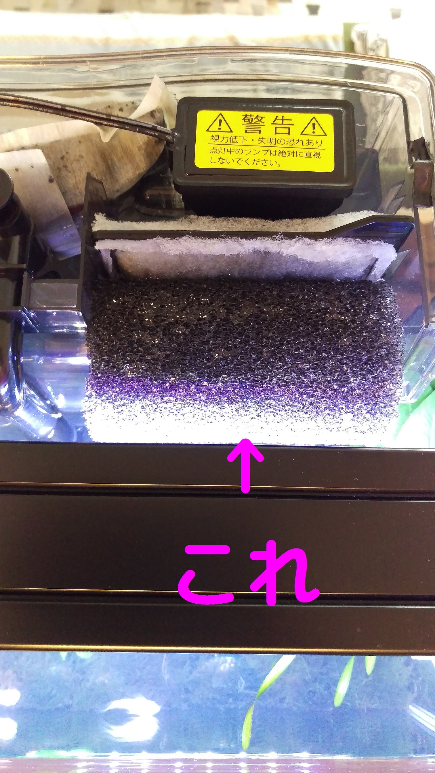 ベタの水流対策にスポンジフィルターを使う