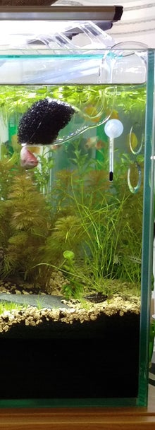 水槽底面拡大