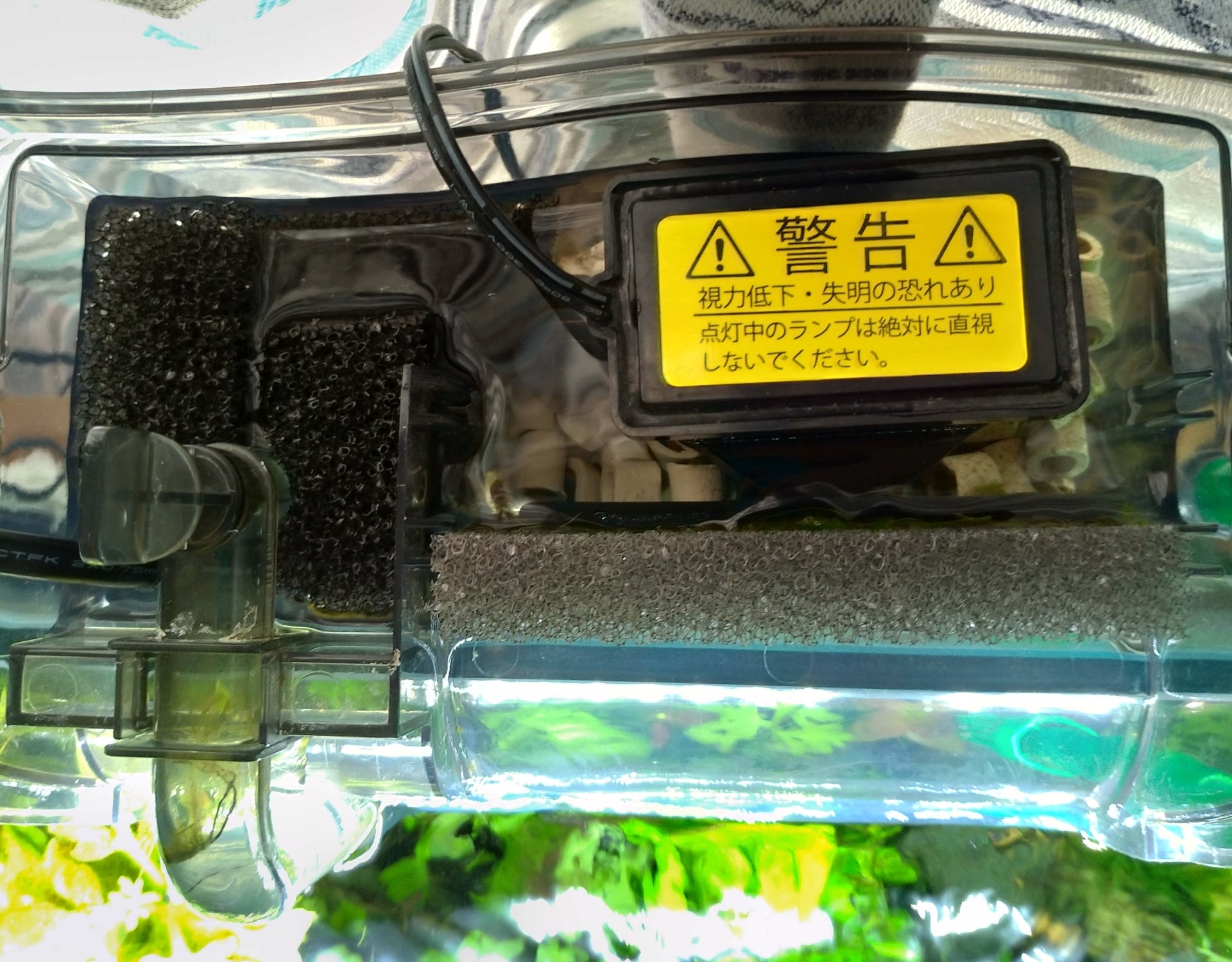 殺菌河童フィルターの写真