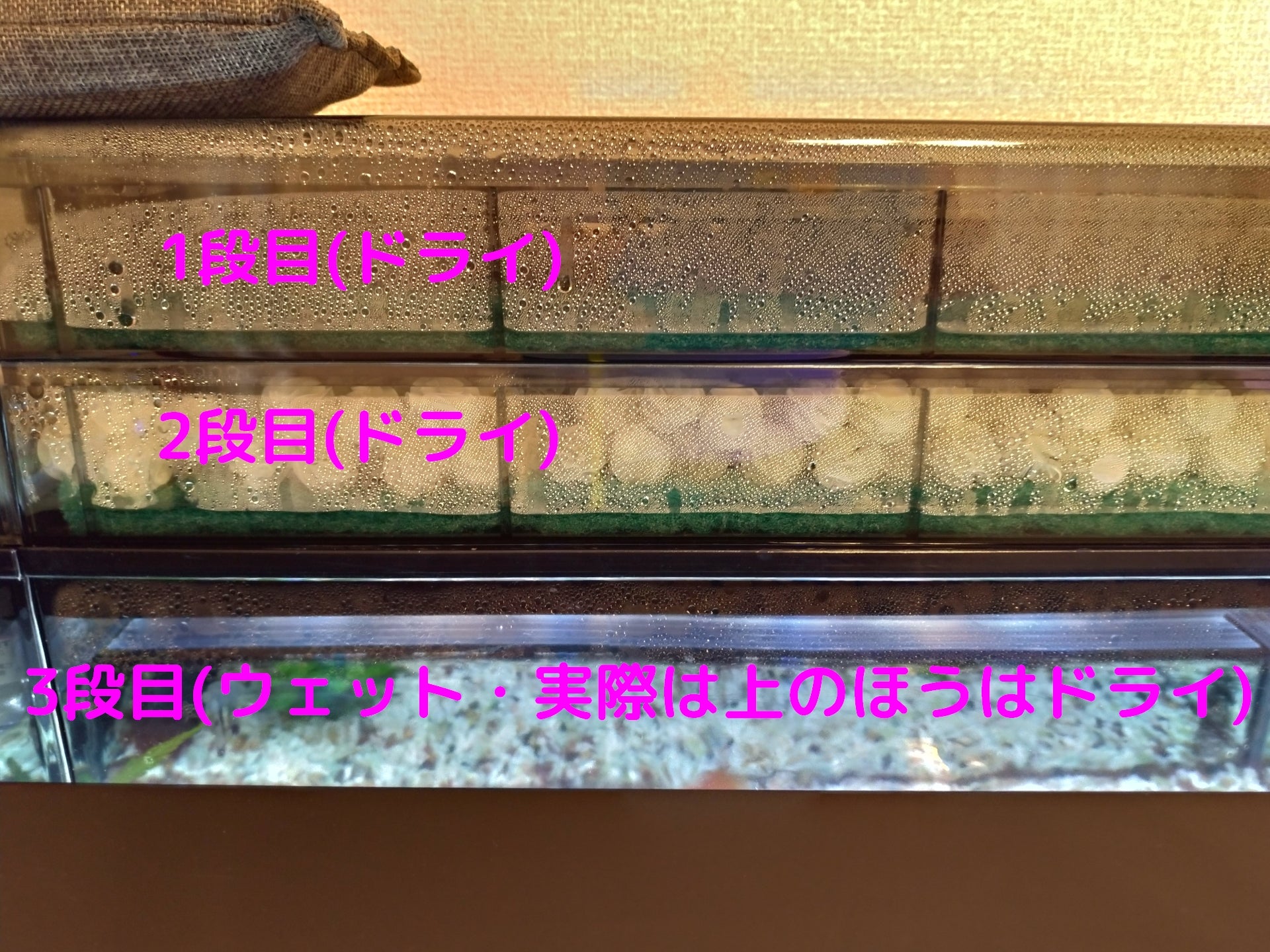 グランデカスタム600 + ウェット&ドライろ過槽で3段