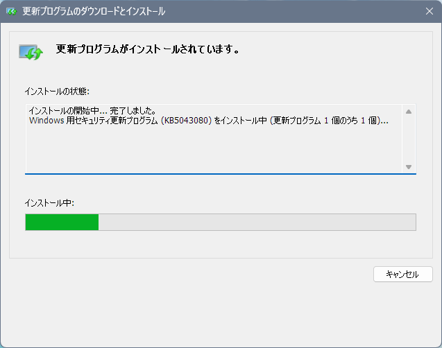 KB5044384を手動でインストール
